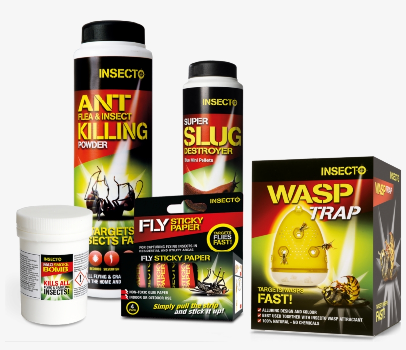 Insecto Insect Control - Pest, transparent png download