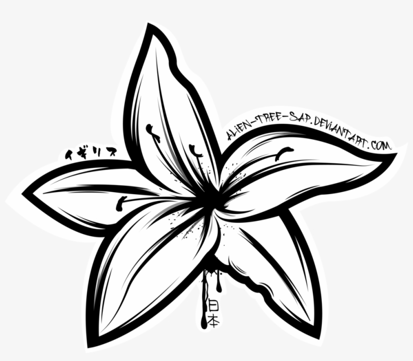 Butterflies Drawing Lily - Lily Outline Png, transparent png download