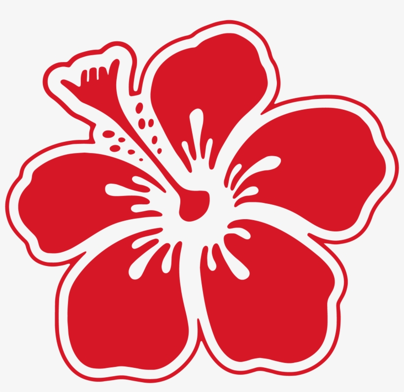 Hibiscus Surf School - Mount Maunganui Surf School, transparent png download