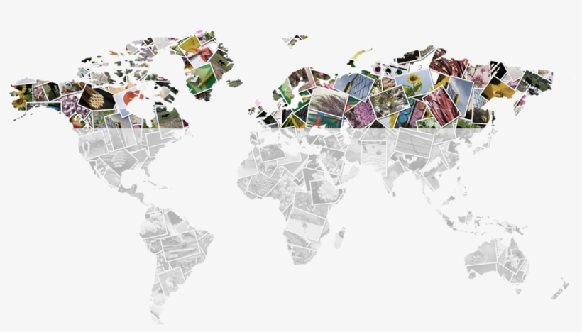 Map - Lenguaje En El Mundo, transparent png download