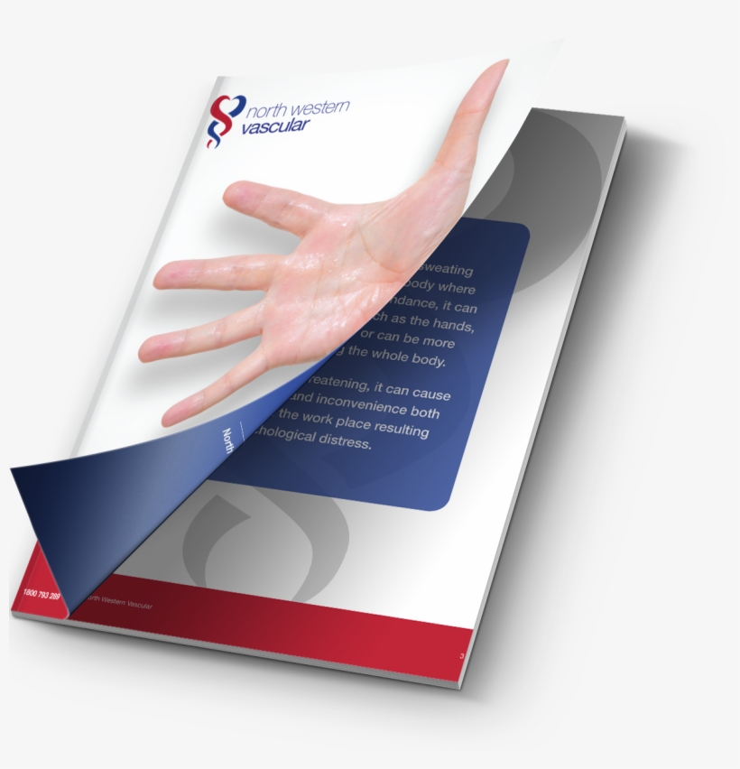 Download The - Brochure, transparent png download