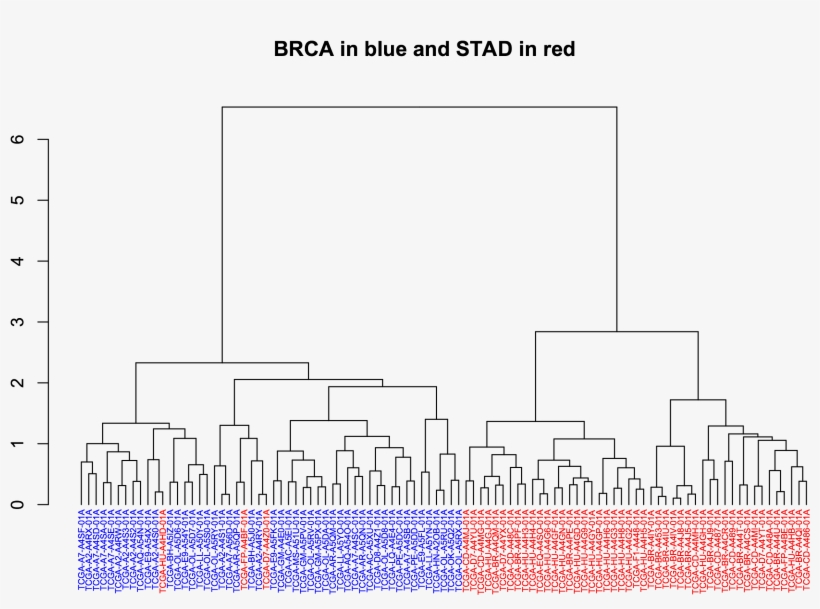 Images/brca Vs Stad Dendrogram - Diagram, transparent png download