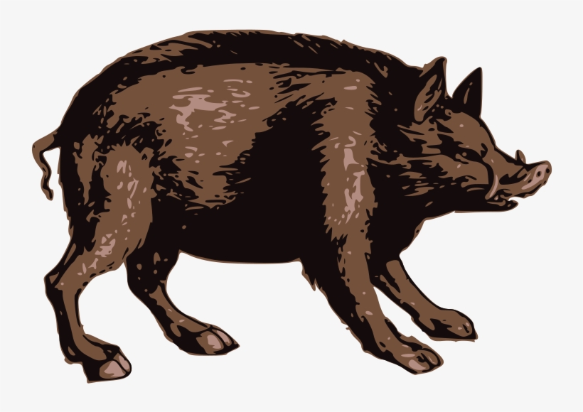 Brown Boar - Punxsutawney Phil, transparent png download