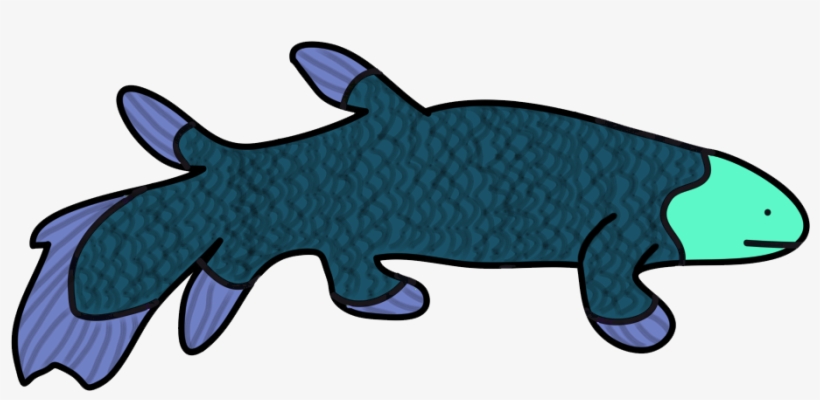 Amateurish Coelacanth - Shark, transparent png download