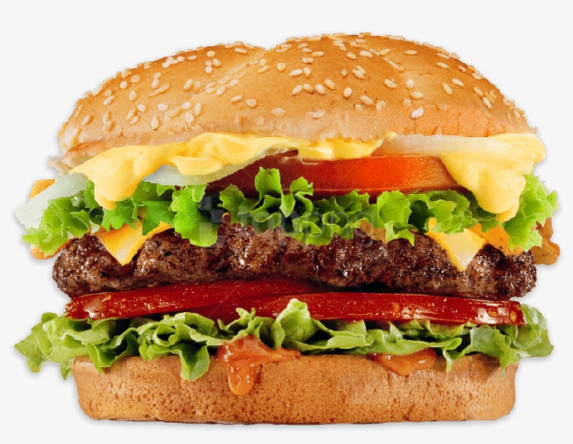 Free Png Download Hamburger Png Images Background Png - Deforestation Facts For Kids, transparent png download