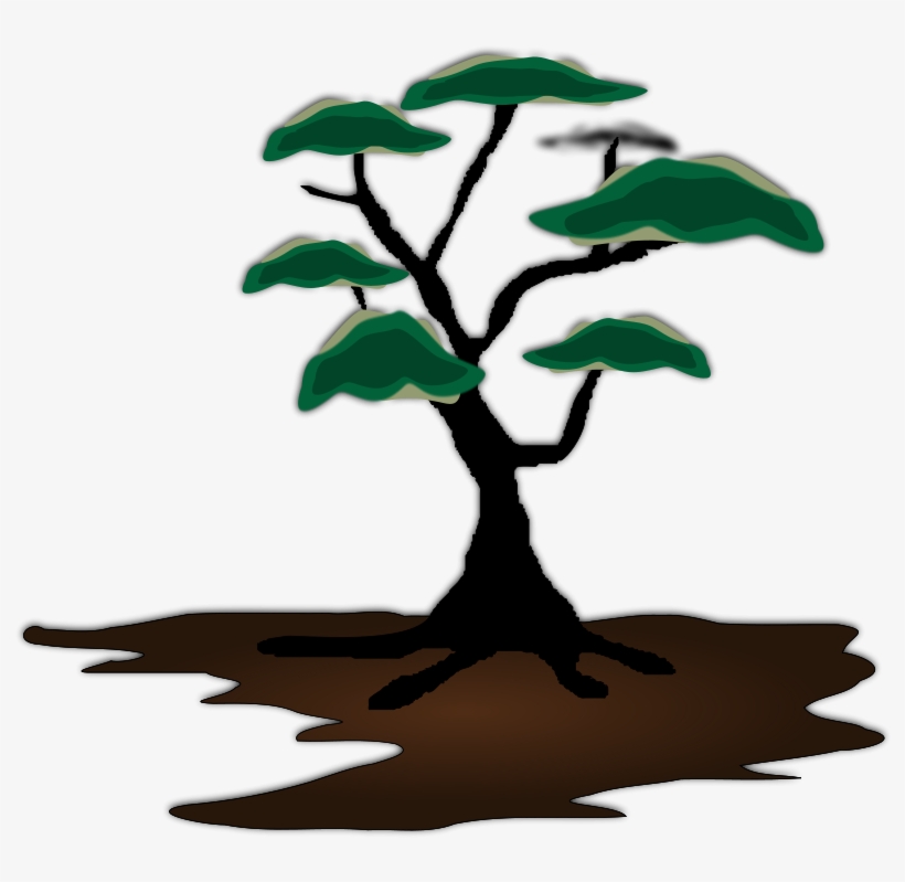 Mesquite Tree Clip Art, transparent png download