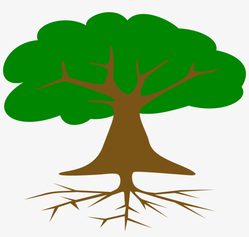 Tree Roots And Leaves Drawed - Imagenes De Un Arbol Con Raices, transparent png download