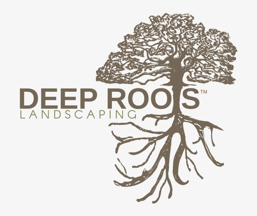 Logo Color Finalweb - Tree, transparent png download