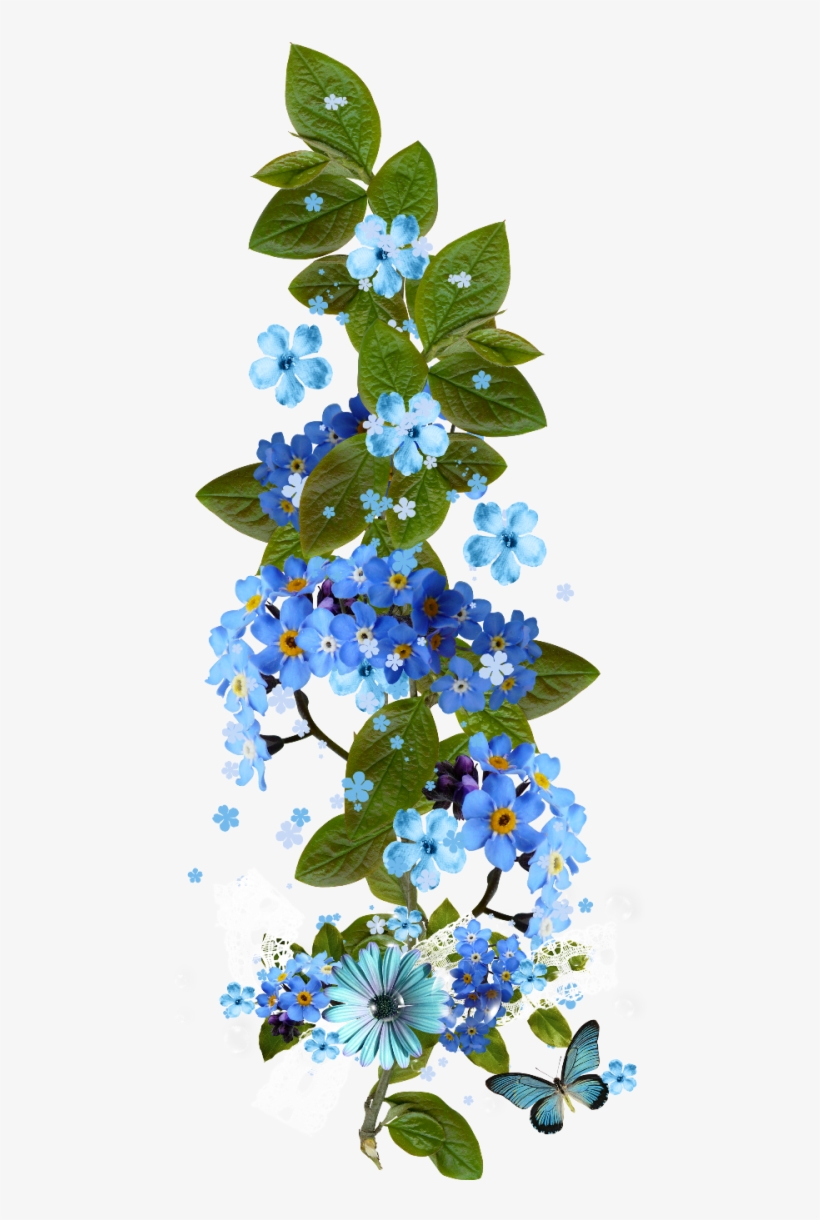 B *✿* Flower Spray, Flower Frame, Flower Paintings, - Não Esqueças De Mim: 15 Sementes, transparent png download
