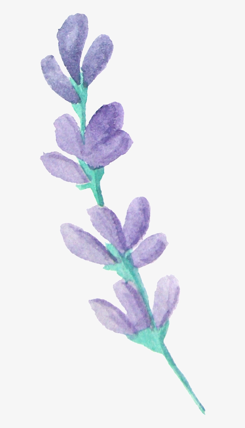 Water Spray Transparent Decorative Material - Portable Network Graphics, transparent png download