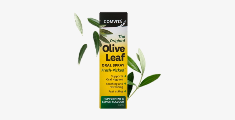 Shop Oral Spray - Comvita Olive Leaf Extract Lozenges With Manuka Honey, transparent png download