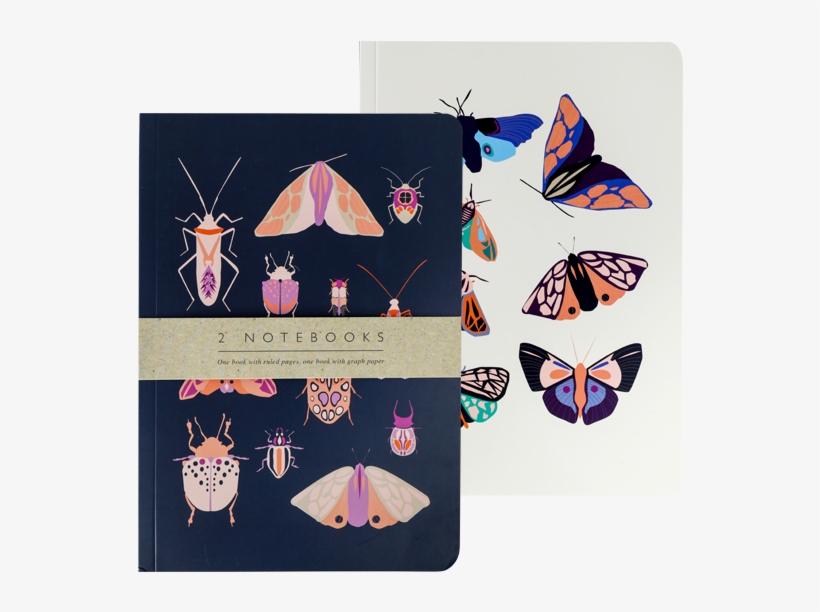 2 X A5 - Portico Exercise Books Entomology Set Of 2 A5, transparent png download