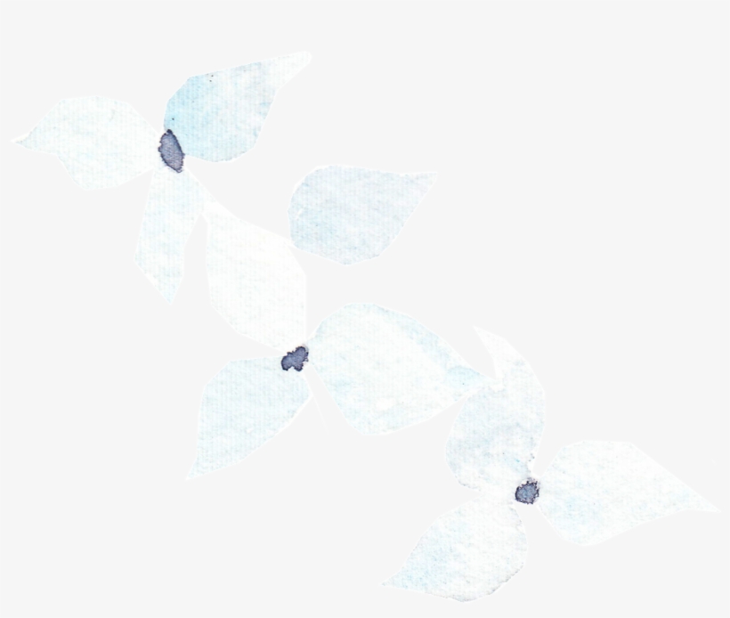 Fantasy Flower Transparent Decorative - Sketch, transparent png download