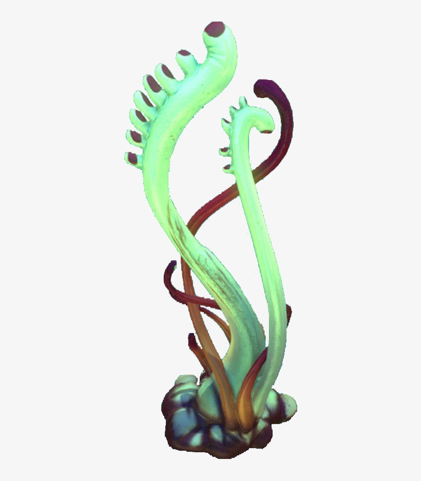 Red Green Tentacle Flora - Algae, transparent png download