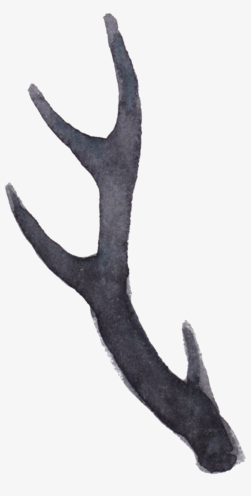 Transparent For The Water Color Of The Elk's Tentacle - Deer, transparent png download
