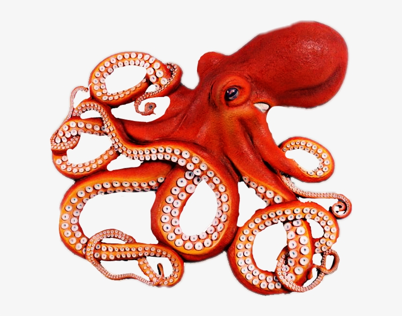 Picture Black And White Ftestickers Sticker By Joe - Octopus Png, transparent png download