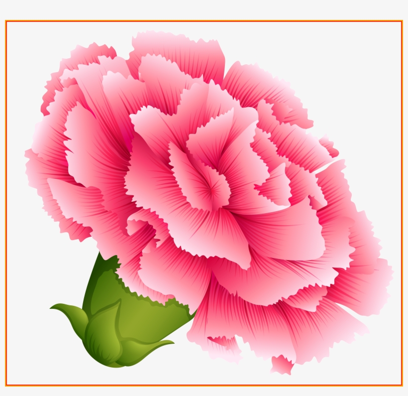 Shocking Best Carnation For Flower Clipart Inspiration - Carnation Clipart, transparent png download