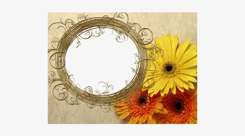 Photo Frame - Magic Circle - Hafiz Tahir Qadri Im, transparent png download
