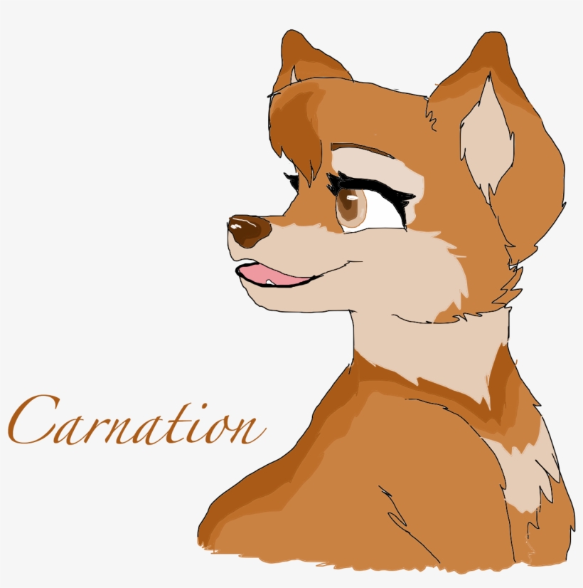 Carnation - Greater Rochester Health Foundation, transparent png download