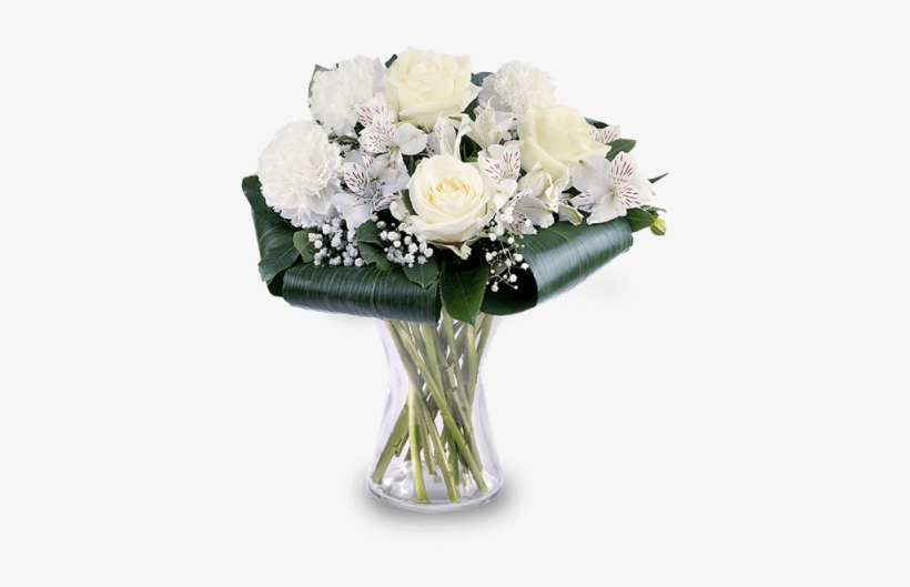 Carnations And Roses - Carnation, transparent png download