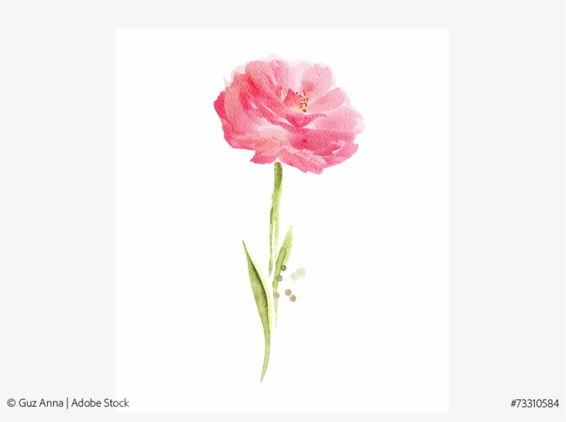 Flower - Watercolor Painting, transparent png download