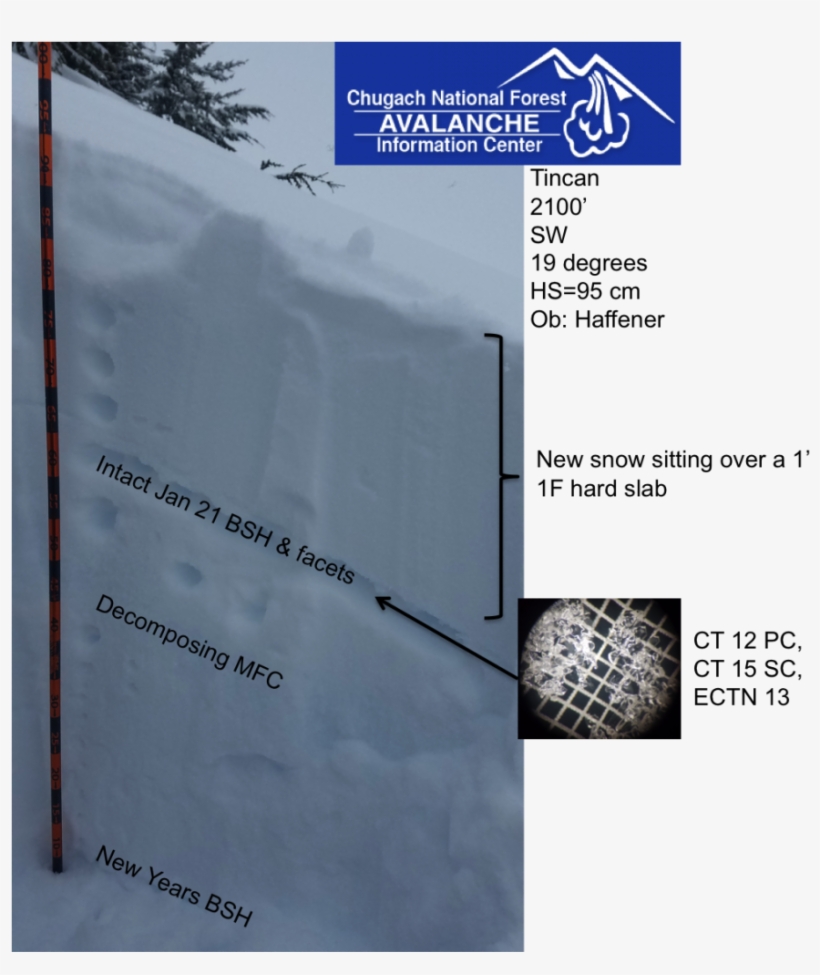 Found Intact 1/21 Bsh And Facets And New Years Bsh - Snow, transparent png download