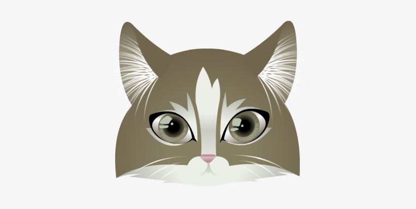 Cat Face - Domestic Short-haired Cat, transparent png download
