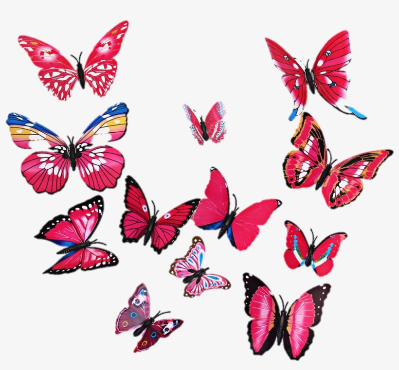 Mariposa - Wall Decal, transparent png download