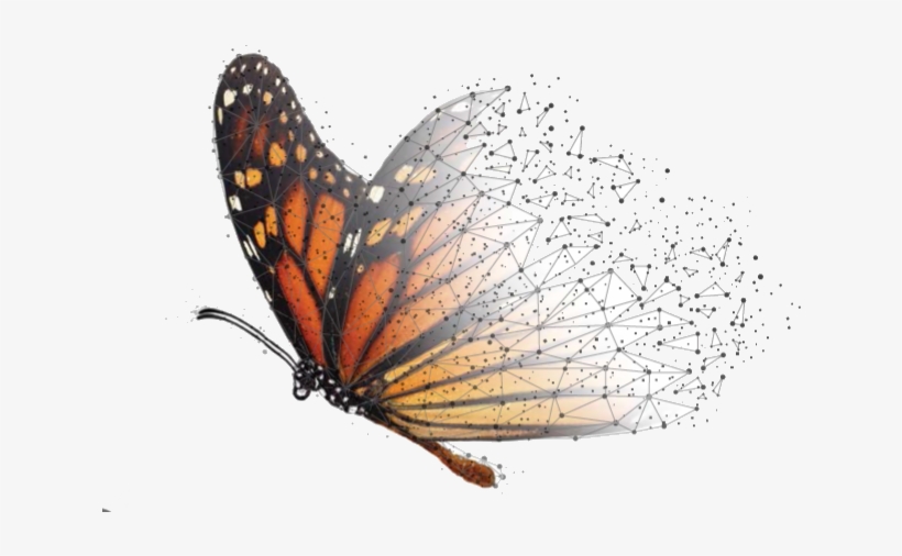 Fondo Monarca Tiene El Objetivo De Impulsar La Conservación - Fondo Mariposa Monarca, transparent png download