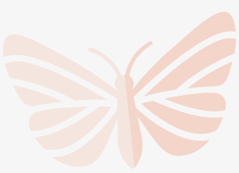 What Is Mas Mariposas - Butterfly, transparent png download