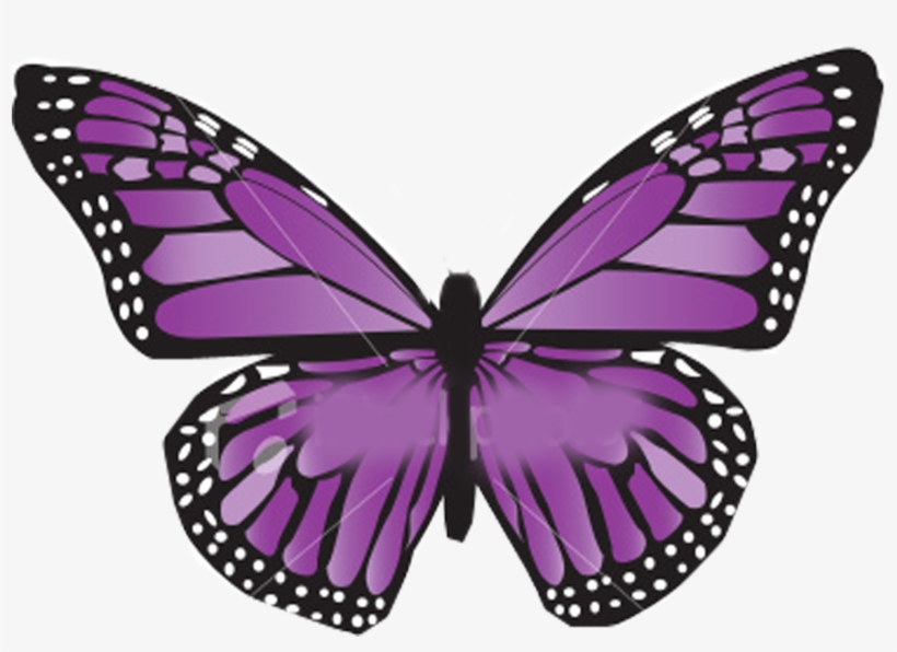 1- Para Empezar Necesitamos Alas De Mariposas Y Una - Thyroid Cancer Survivor Butterfly, transparent png download