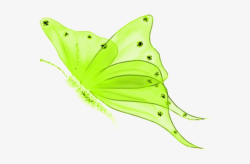Buterffly Mariposa Mariposas Mariposas❤ Mariposas🦋 - Feliz Domingo Mensajes Bonitos, transparent png download
