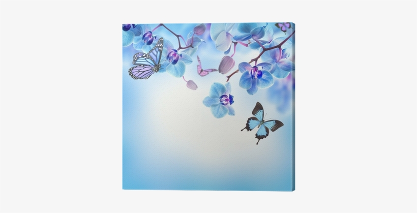 Cuadro En Lienzo Fondo Floral De Orquídeas Tropicales - Blue Flowers And Butterflies, transparent png download