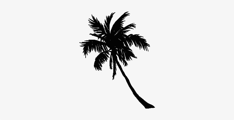 Go To Image - Coconut, transparent png download
