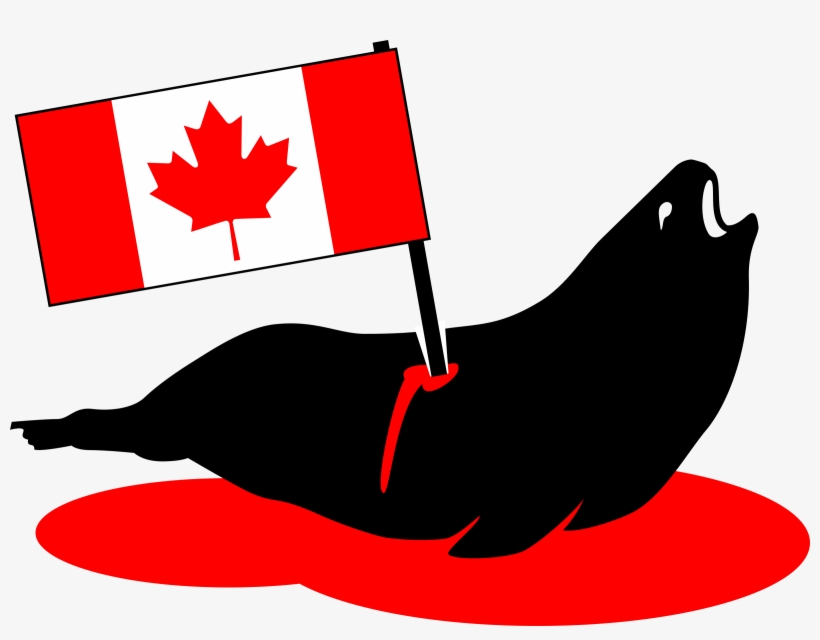 This Free Icons Png Design Of Stabbed Canadian Seal, transparent png download