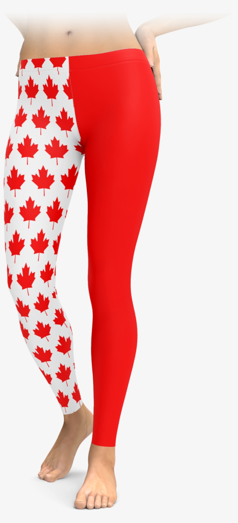 Native Pride Light Dreamcatcher, transparent png download