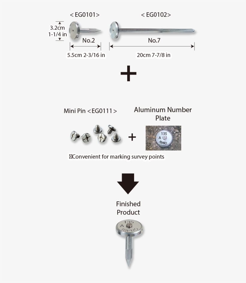 Big Head Survey Nail - Corporation, transparent png download