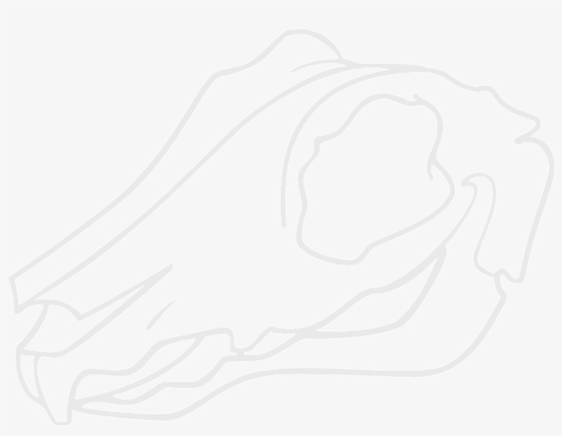 The Nail Guru Black Rabbit - Sketch, transparent png download