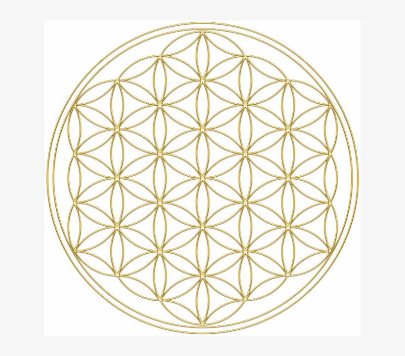 How Can Sacred Geometry Benefit You - Simbolo Fiore Della Vita, transparent png download