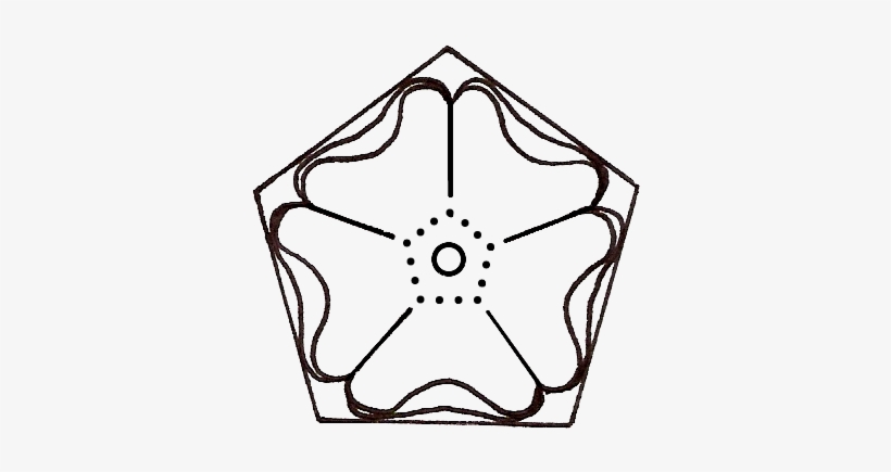 Because The Human Body Has A Torso Surrounded By Five - Line Art, transparent png download