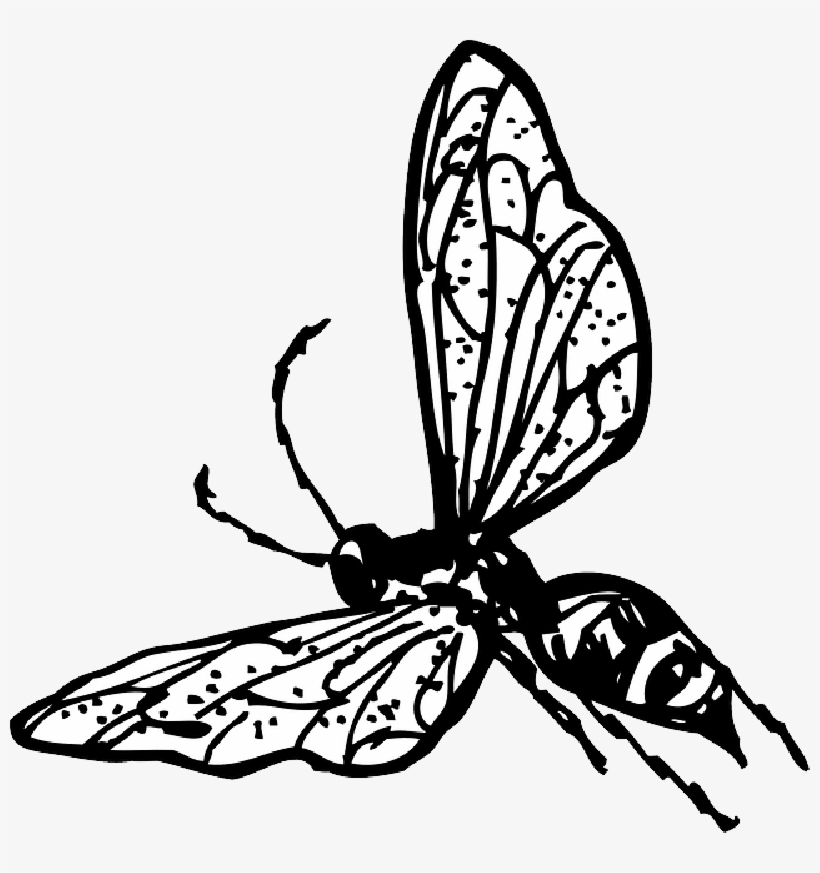 Grey - Wasp Clip Art, transparent png download