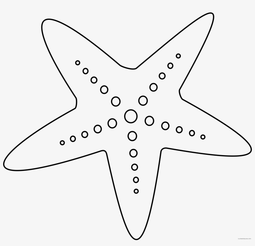 Sea Star Png Image With Transparent Background - Under The Sea Colour, transparent png download