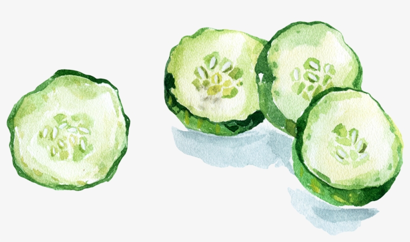 If You'd Like Your Own Gin Party, Get In Touch With - Composicion Quimica Del Pepino, transparent png download