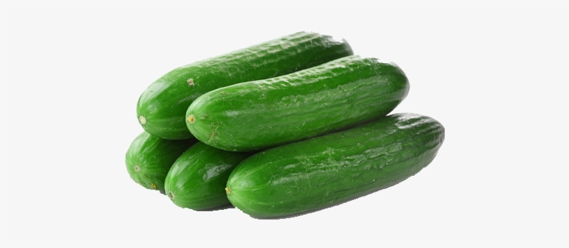 Cucumbers Png File - Splendour Seeds Cucumber Seeds - Green Long - 50 Seeds, transparent png download