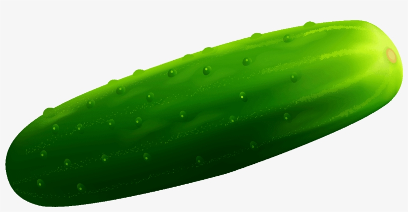 Cucumber Clipart - Pickled Cucumber, transparent png download