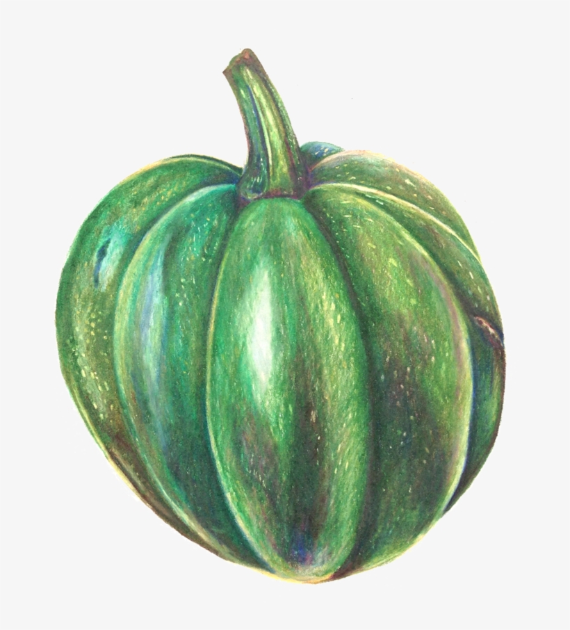 Gemsquash - Pumpkin, transparent png download