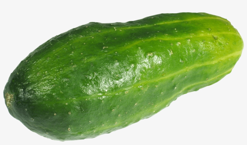 Large Green Cucumber - Bitter Gourd Clipart Png, transparent png download