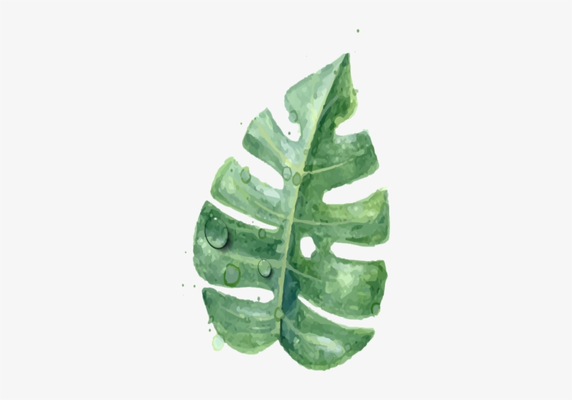 Pozzolana, Also Known As “pozzolanic Ash”, Is A Siliceous - Apron Funny Green Leaves Restaurant Home Kitchen Aprons, transparent png download