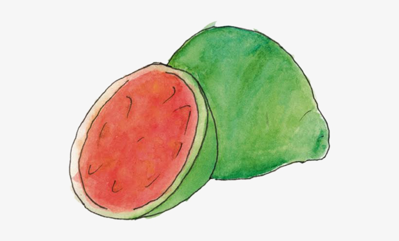 Guave - Avocado, transparent png download