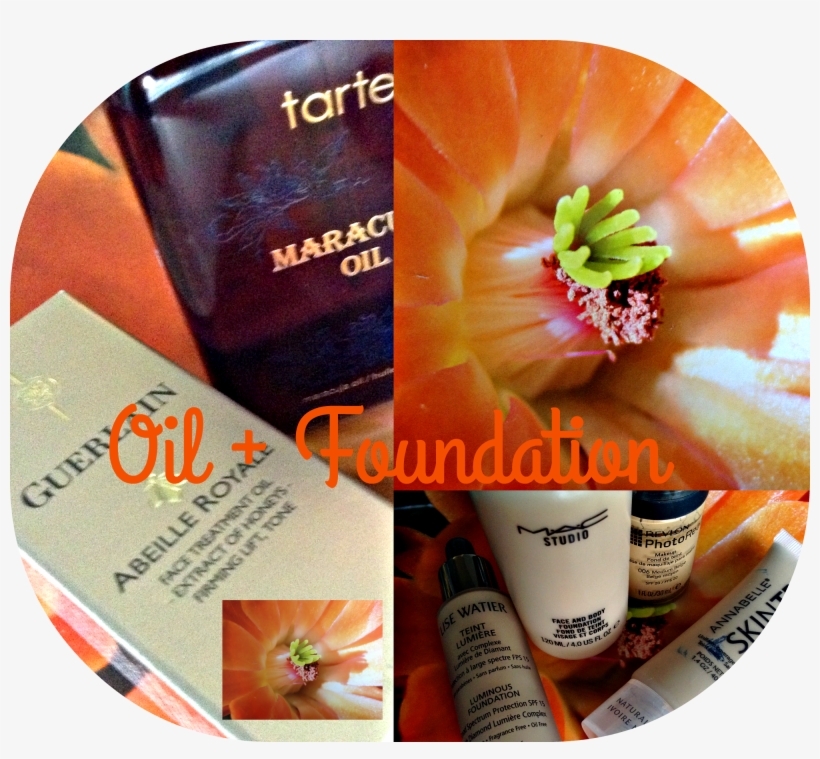 Oil Foundation ⎟tip & Review - Foundation, transparent png download